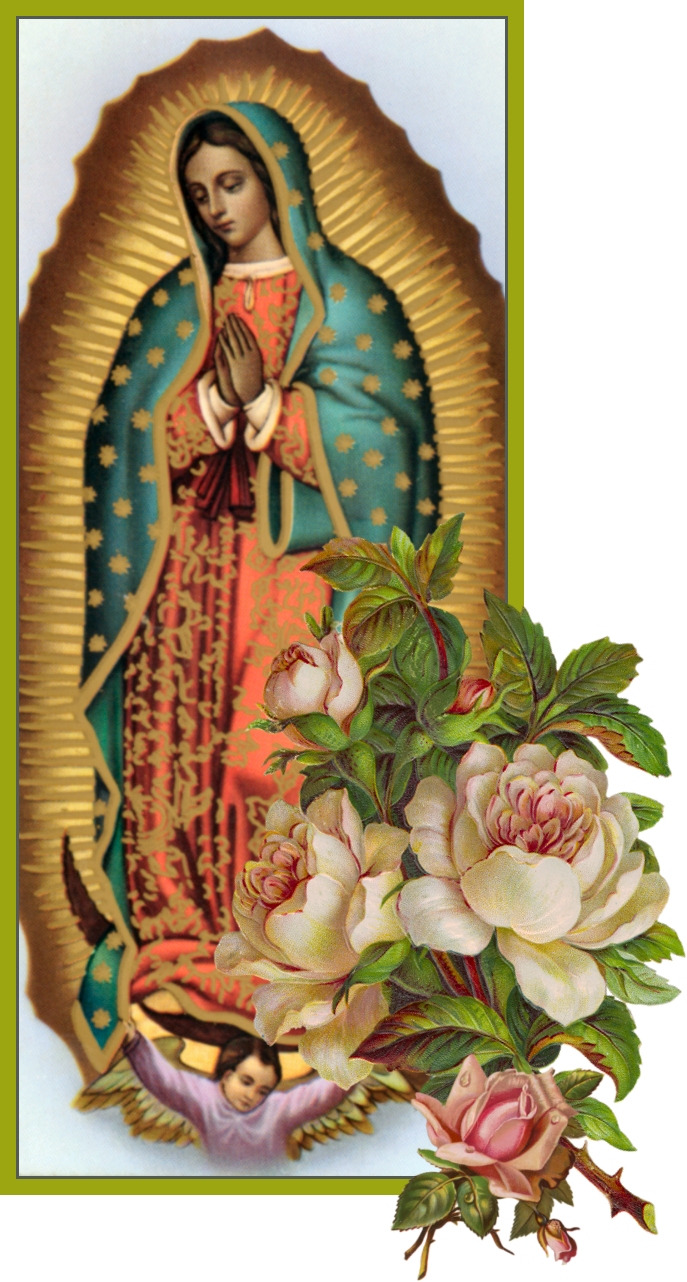 Our Lady Of Guadalupe Color